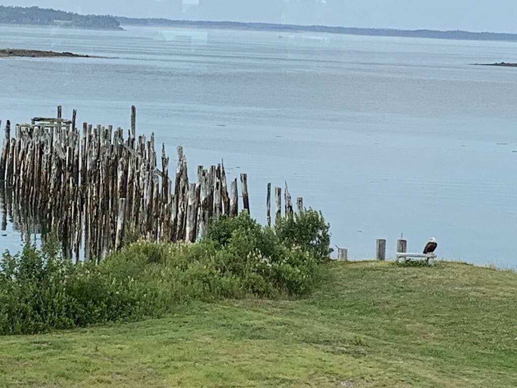 Foto 13 von 31: Sea Breeze Cottage @ Rossport am Meer