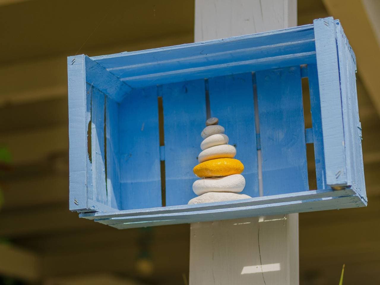 Foto 12 von 20: Bb Himmlische Wolfskatze