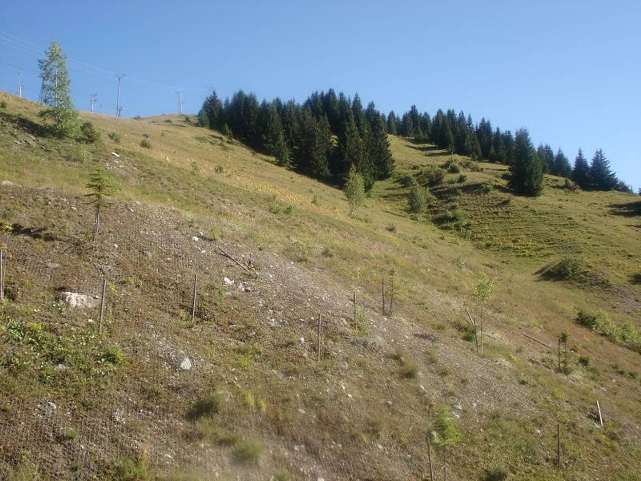 Foto 5 von 15: Helle Wohnung 8 Pers, Parkplatz, Courchevel 1650
