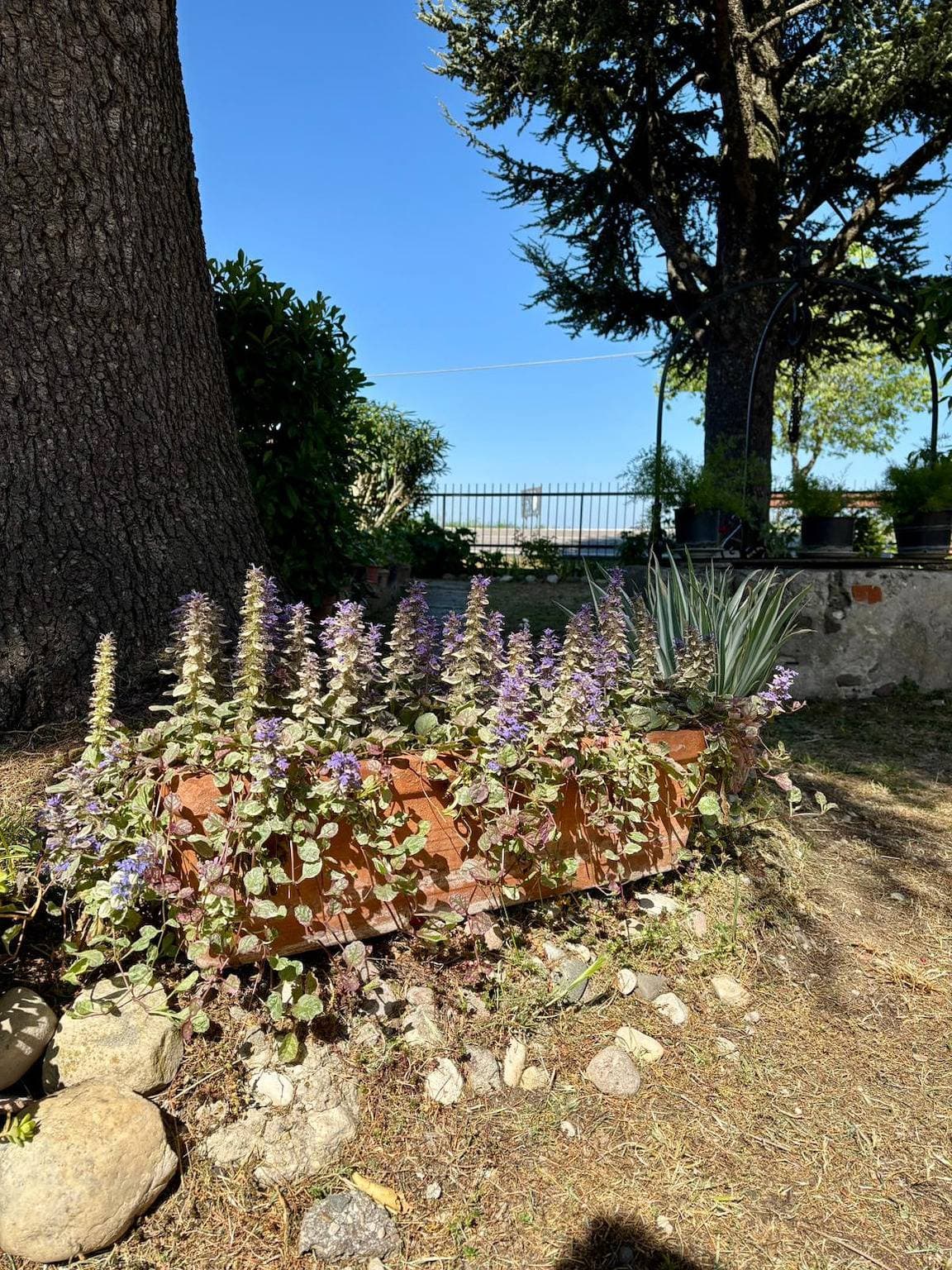 Foto 9 von 42: Casa Olinda a  Lazise