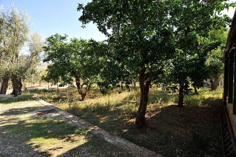 Foto 11 von 30: Einzelne Villa mit großer überdachter Veranda im Freien, umgeben von einem wunderschönen Zitronenhain