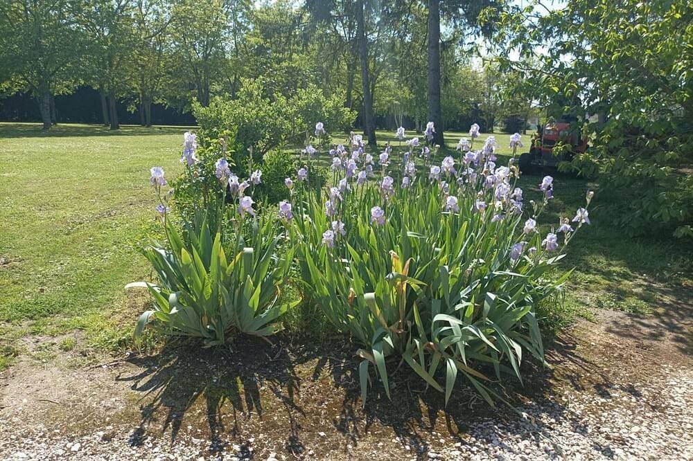 Foto 11 von 20: Komfortable Ferienwohnung in idyllischem Garten mit Kamin & Parkplatz