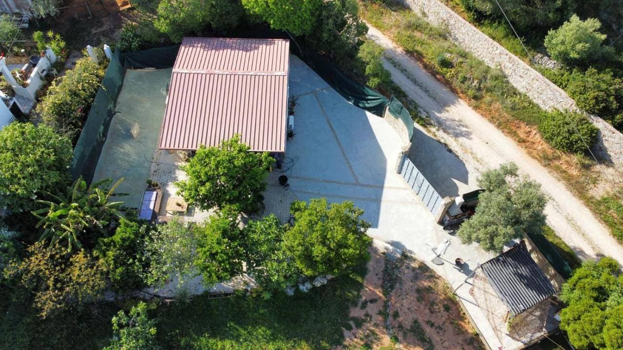 Campo Dias 1