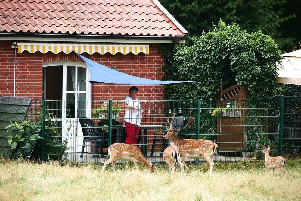 Foto 10 von 10: 4-Sterne  behindertengerechte Nichtraucher-Wohnung; Haustiere auf Anfrage
