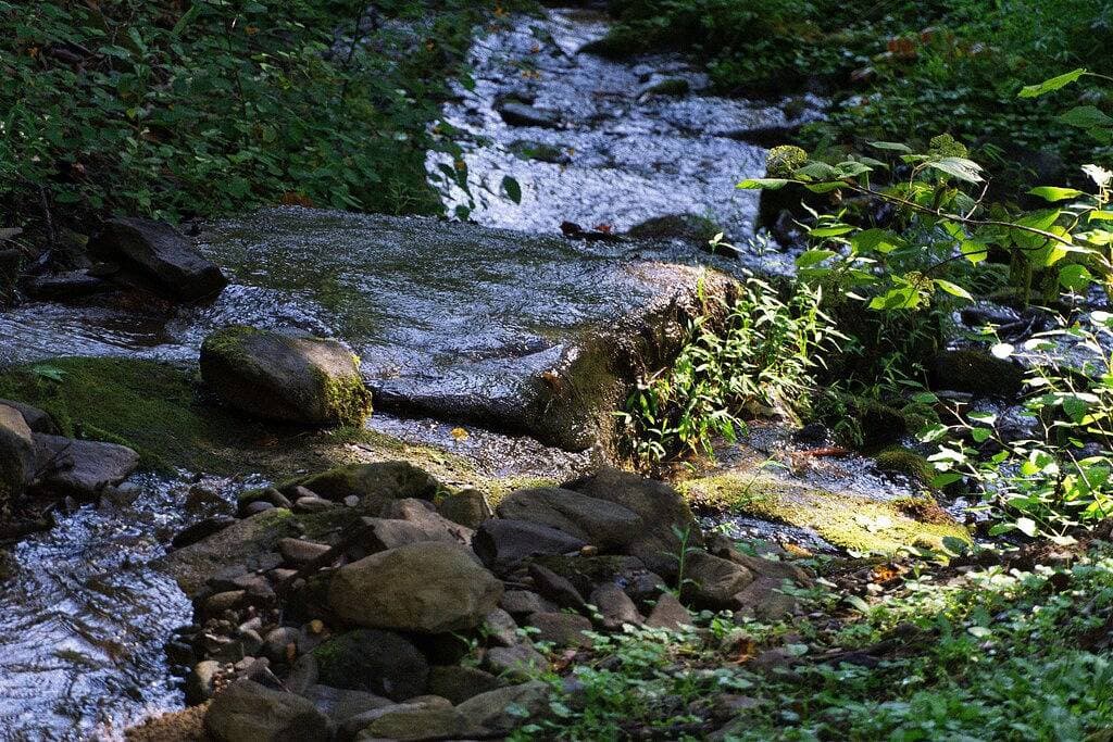 Foto 12 von 32: Dog Friendly, Polar Express, Hot tub, babbling creek