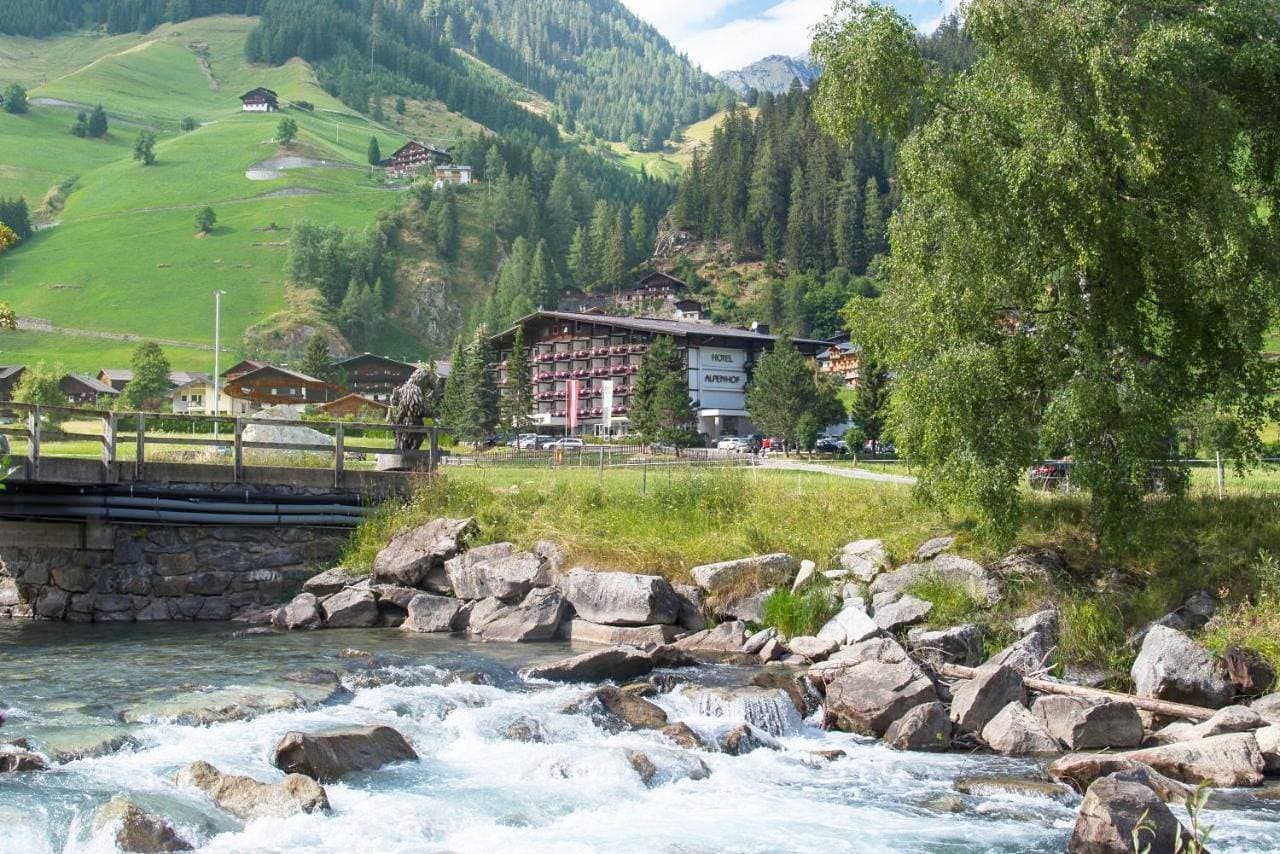 Hotel Alpenhof 1