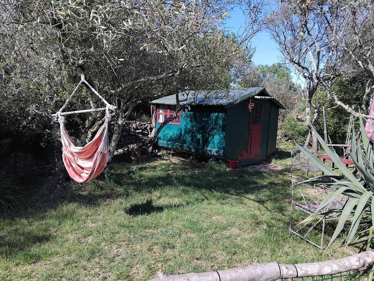 Cabane sous les oliviers 1