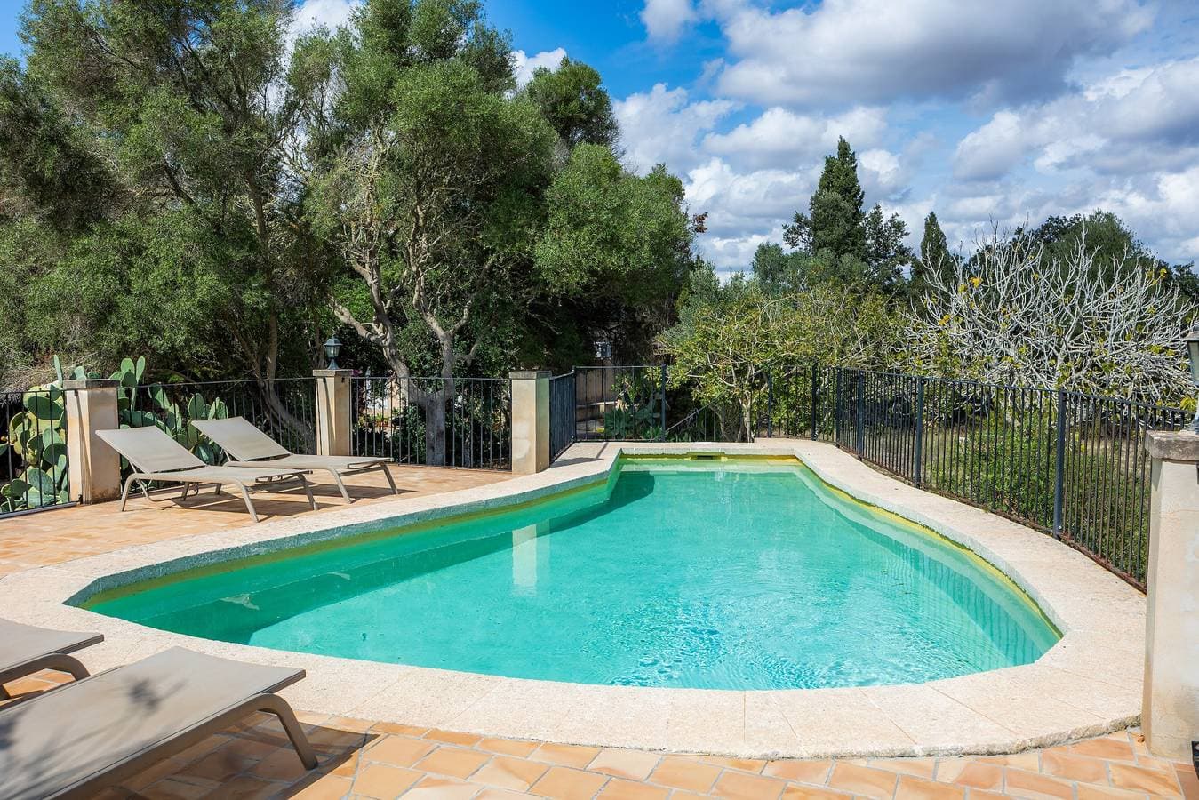 Finca Es Galliner 1