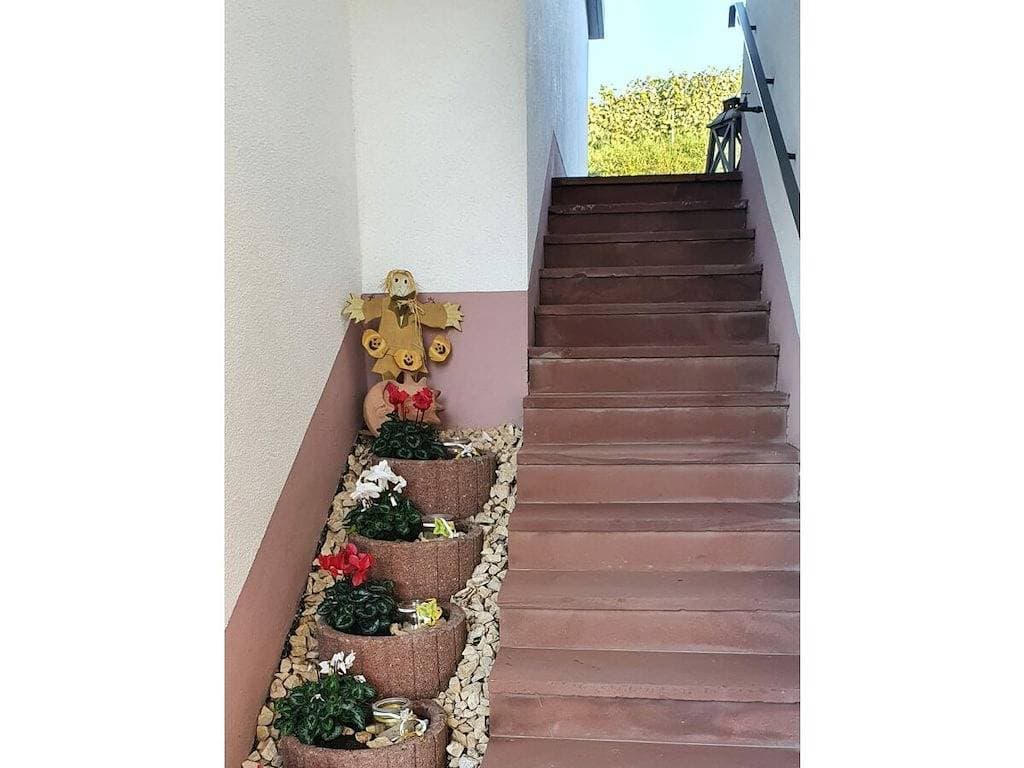 Foto 7 von 26: Ferienwohnung mit 2 Schlafzimmer