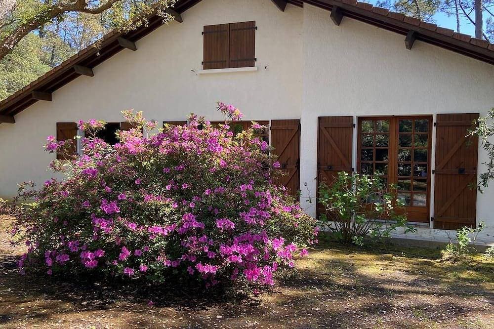 Foto 7 von 9: Charming Landes house between forest and ocean - Contis