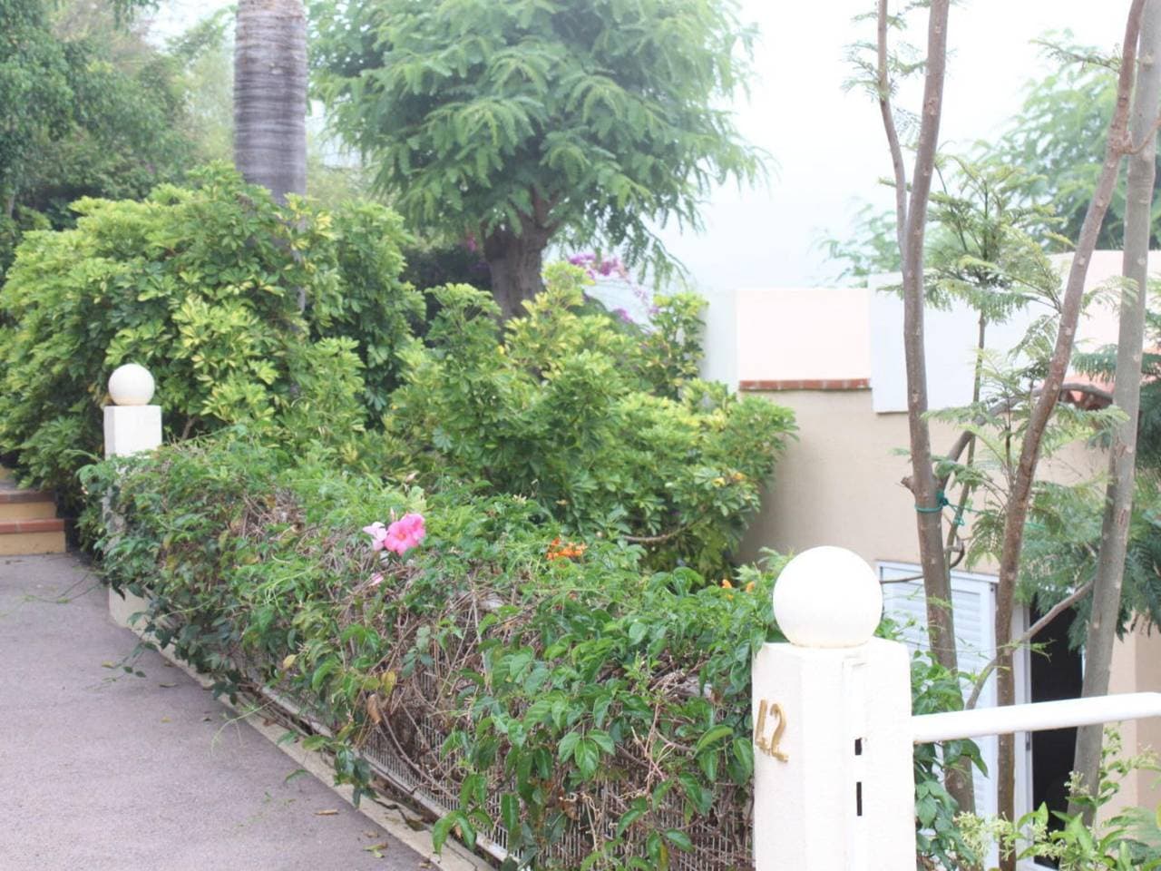 Foto 12 von 21: Bungalow in Teneriffa mit 2 Schlafzimmer