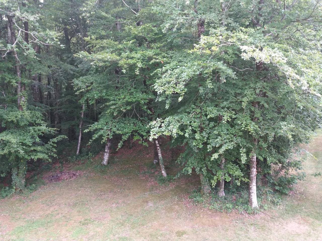Foto 10 von 24: Apartment with Garden View