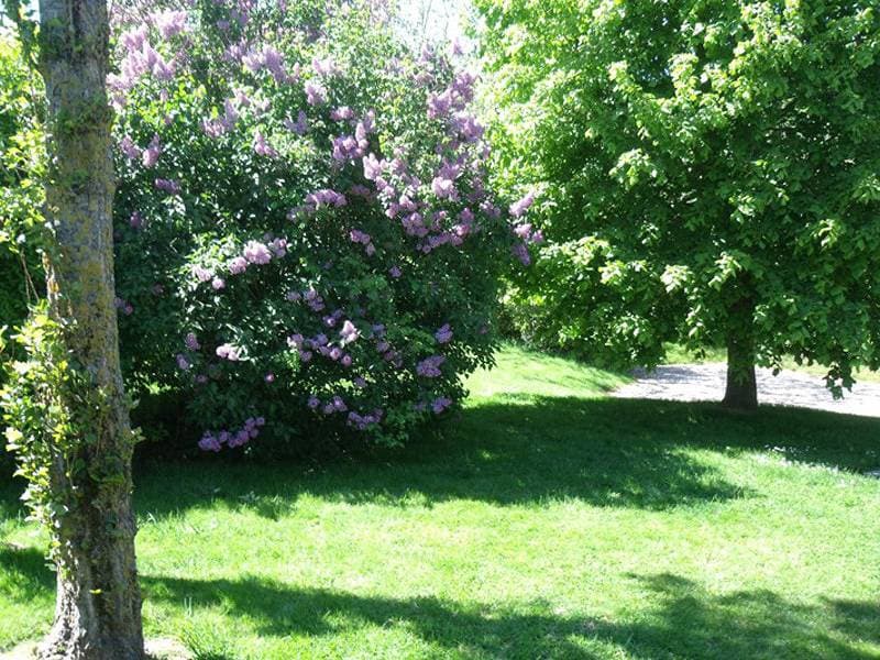 Foto 12 von 20: Gîtes de France® - Les Lilas