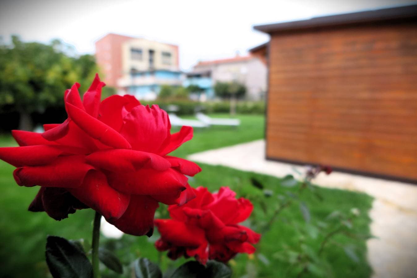 Foto 6 von 33: Die Dependance mit Garten in Pescara – 9 Min zum Meer, WLAN, Klimaanlage, Ev-Ladestation