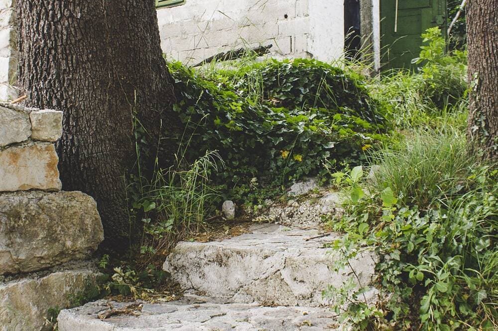 Foto 8 von 21: Green dream in Cetina canyon