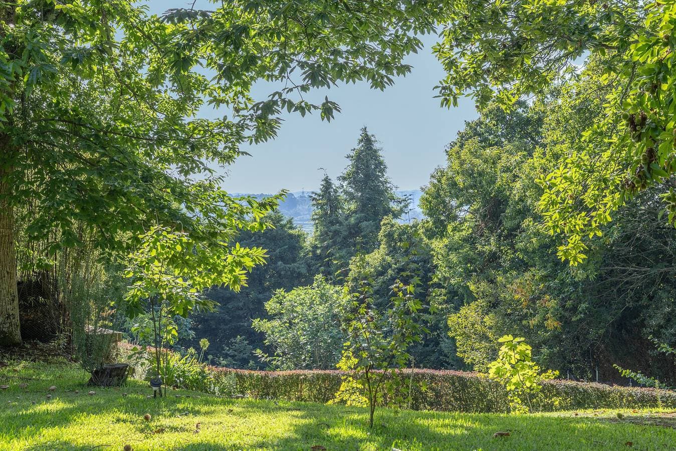 Foto 10 von 35: Suite Camélia mit Gemeinschaftspool und privatem Garten