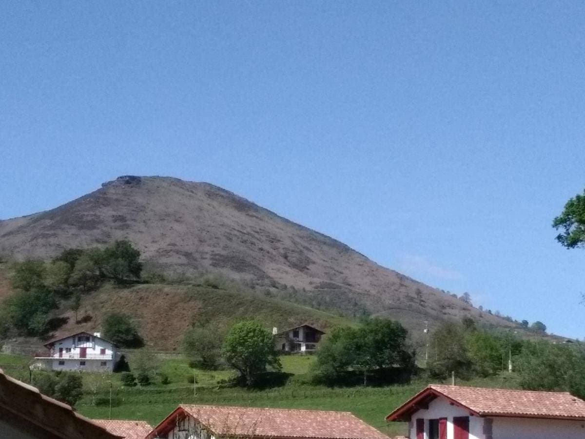 Bizi logela 1