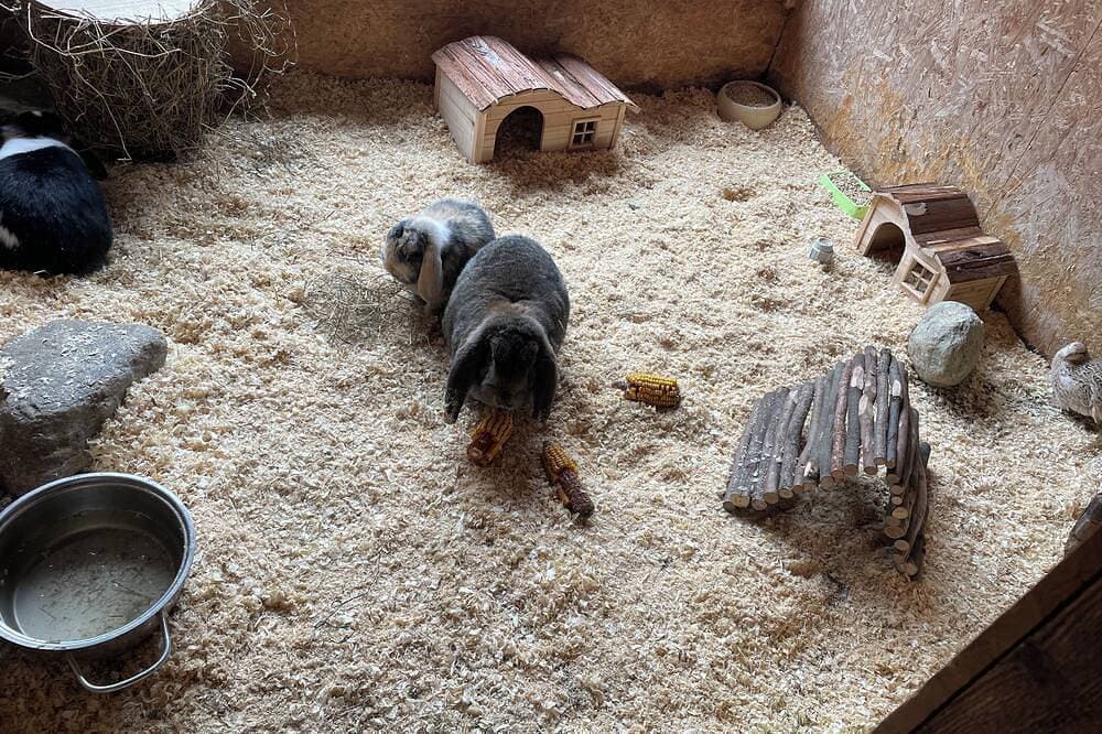 Foto 11 von 30: Gemütliche Wohnung Bauernhof, mit Kleintierhaltung  schön und ruhig gelegen !