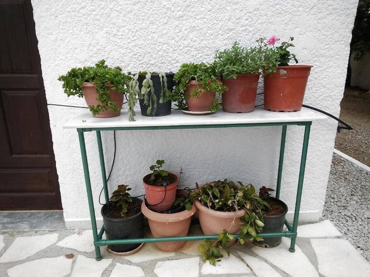 Foto 10 von 93: Wohnungen mit Meerblick