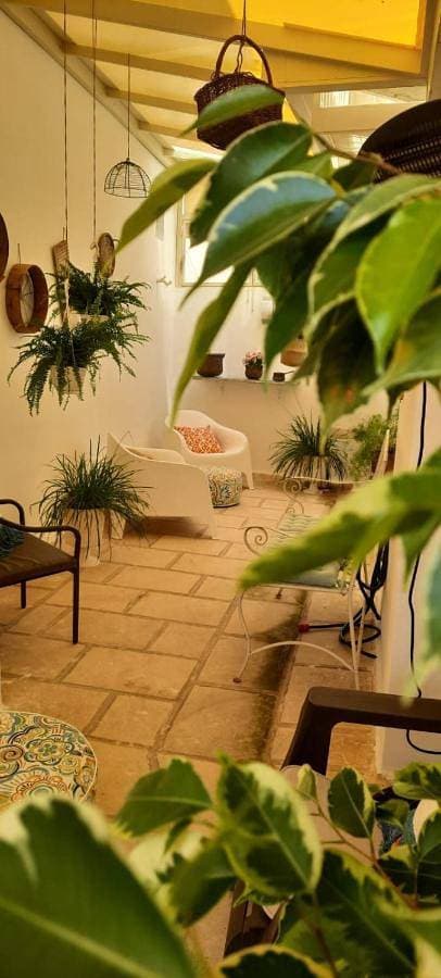 Foto 3 von 42: Suite with Terrace