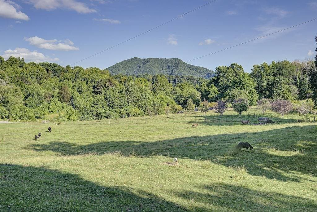 Foto 9 von 46: Rustikale Hütte mit Blick auf einen hundert Acre Farm
