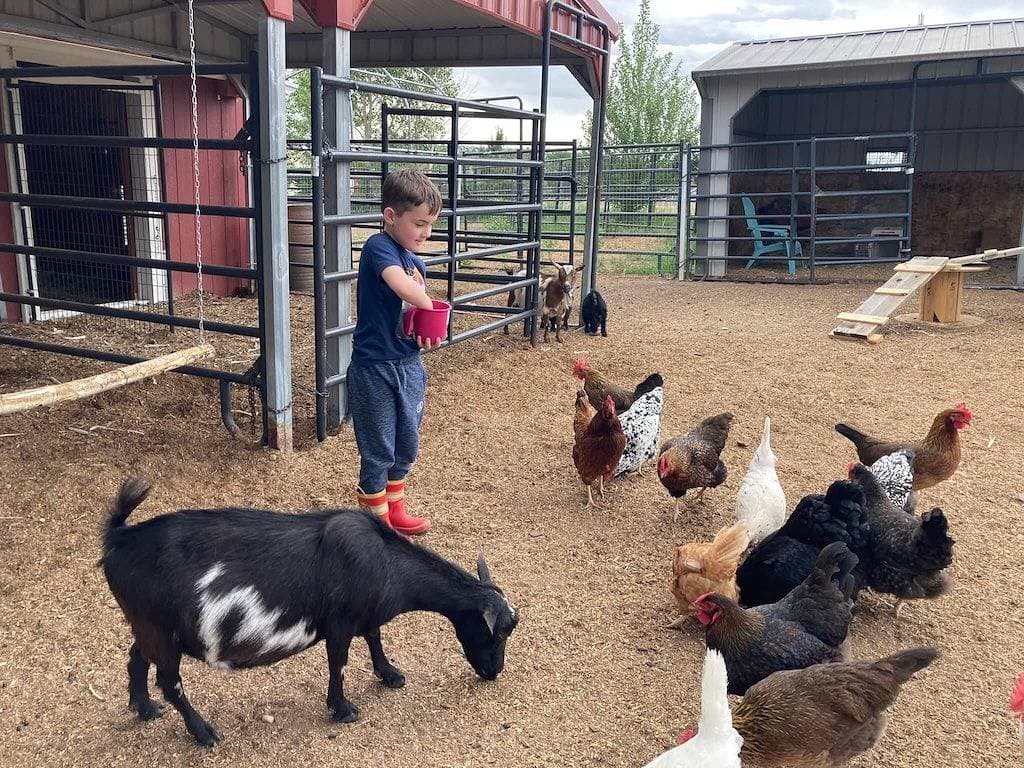 Foto 13 von 31: Country Living Private Apt w/Mini Petting Zoo