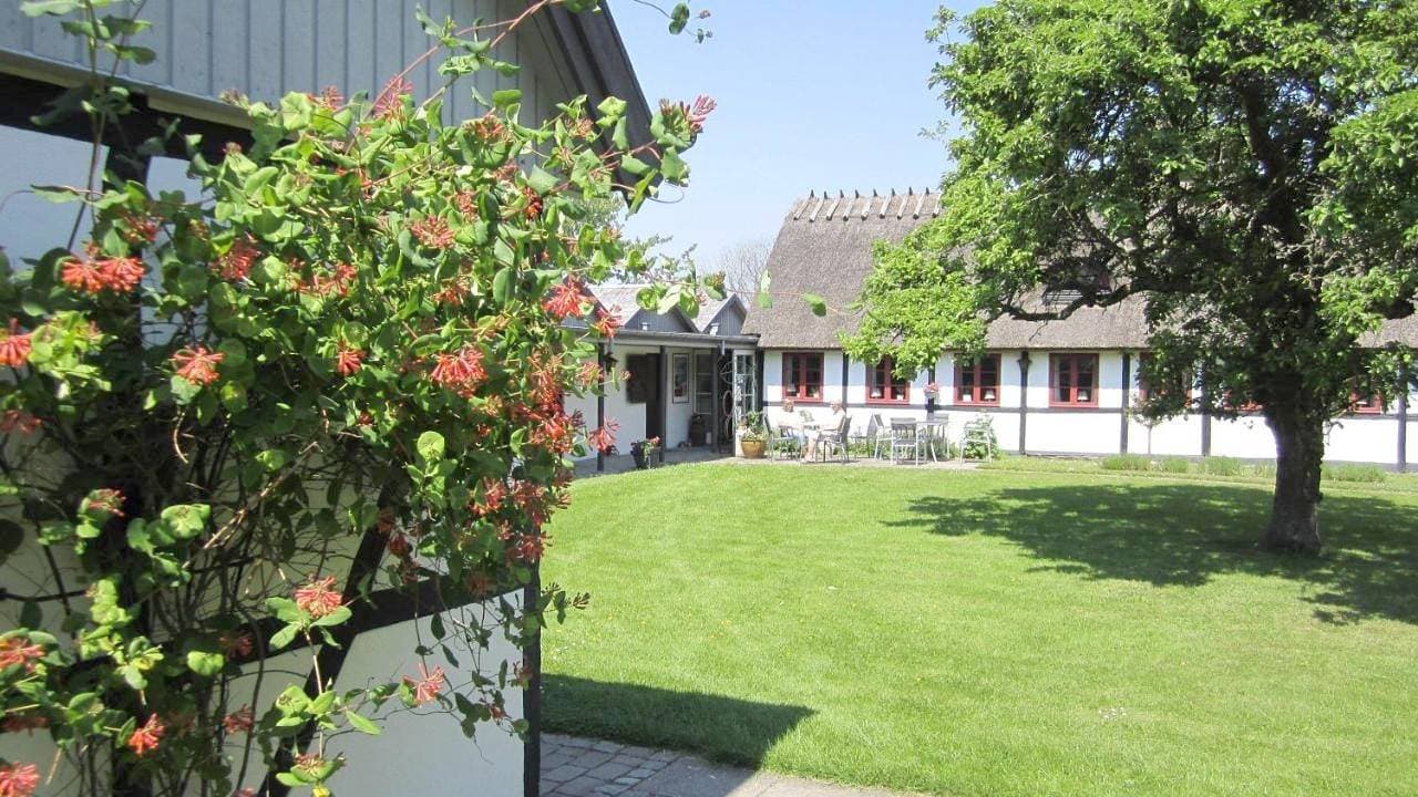 Foto 4 von 28: Kirsebærkroen