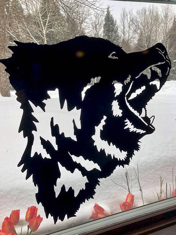 Foto 2 von 11: Bear - unit 5
