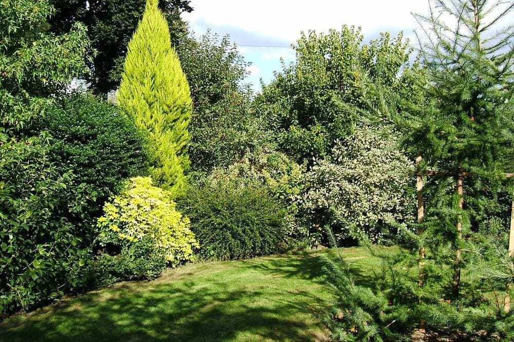 Foto 5 von 30: Herzlicher Empfang in einem wunderschönen, normannischen Garten !