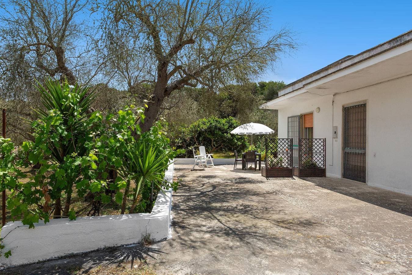 Foto 3 von 28: Gästehaus für 4 Personen mit Garten