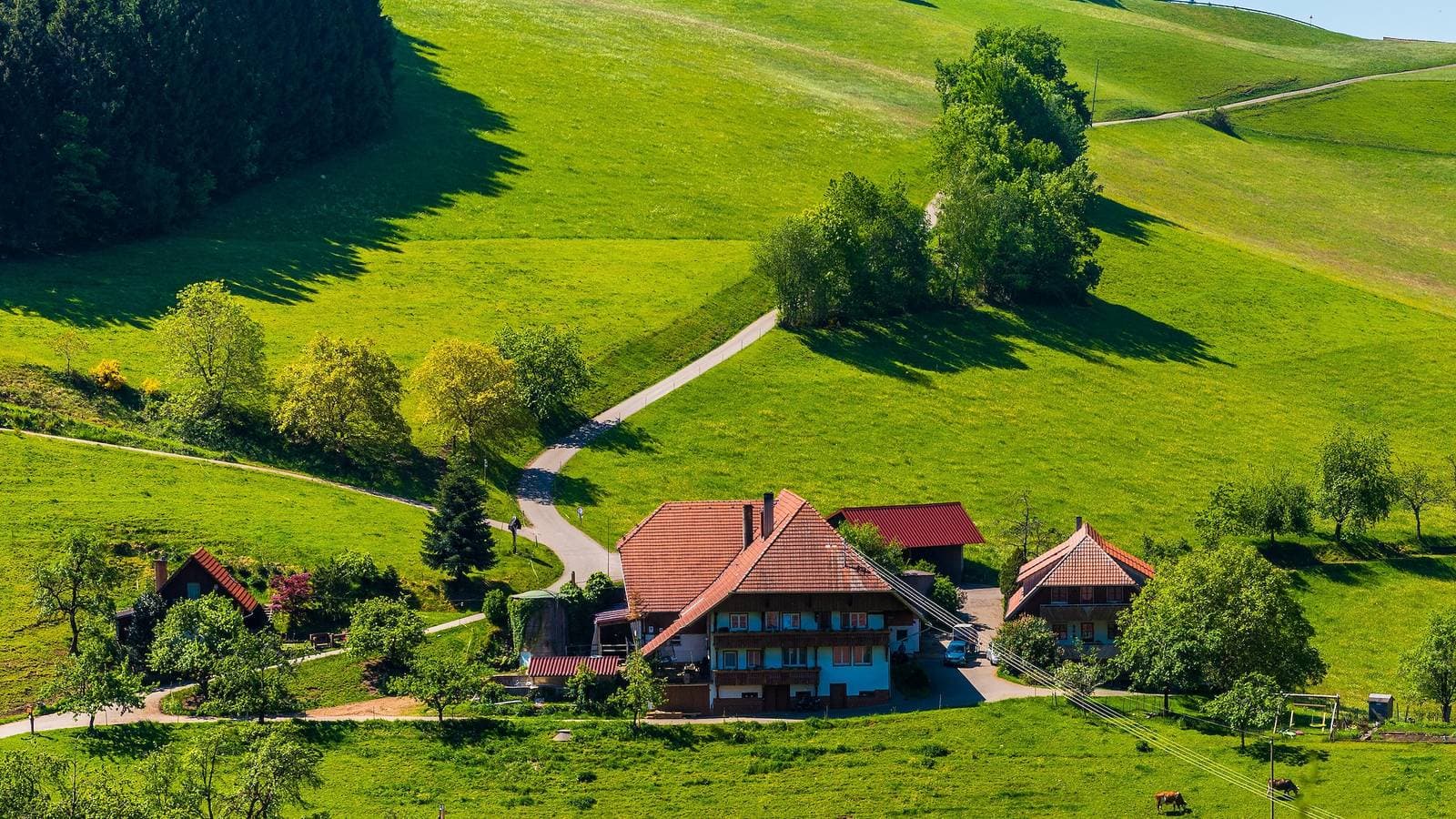Foto 3 von 24: Ferienwohnung "Biesleblick" mit Bergblick, Gemeinschaftsgarten und WLAN