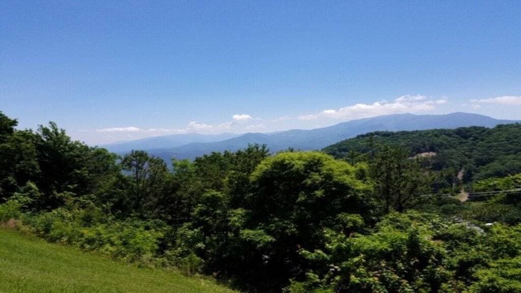 Foto 8 von 46: Studio Condo ~ Direkte Aussicht auf die Smoky Mountains, LeConte & Ober Ski Resort