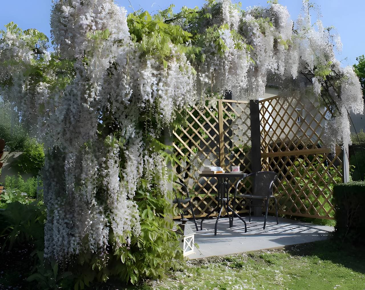Foto 4 von 28: Gästezimmer 'Entre Mer Et Terre - Chambre Rubis' mit Gemeinschaftsgarten und WLAN