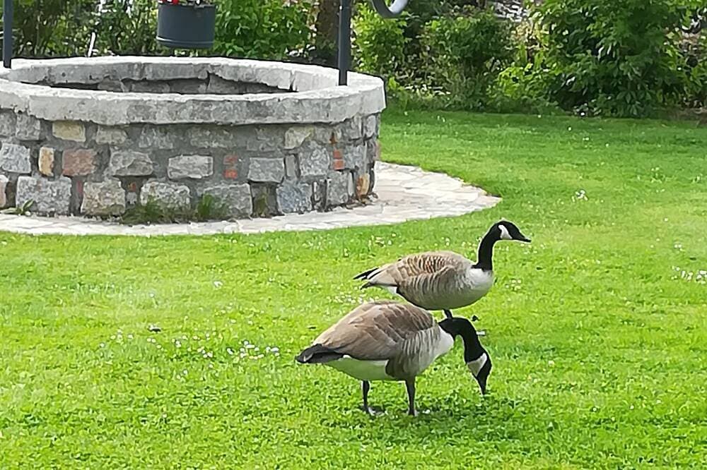 Foto 7 von 24: Einfamilienhaus im amerikanischen Kapellenstil