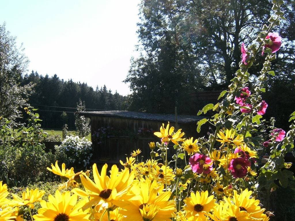 Foto 4 von 21: Ober-Kaltenbronnhof