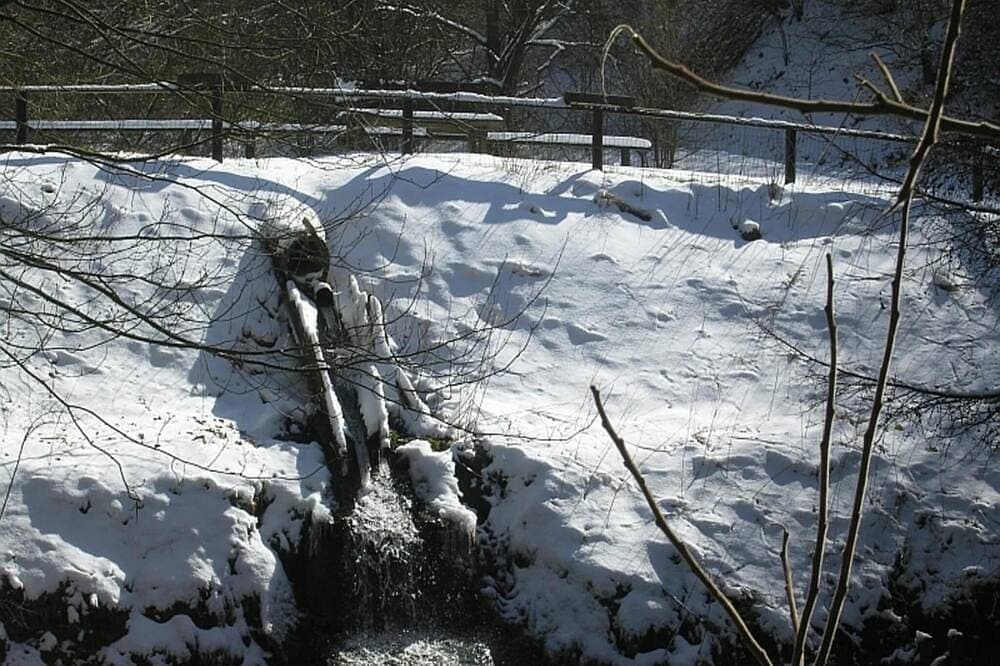 Foto 13 von 30: Feriendorf Reinskopf in der Eifel