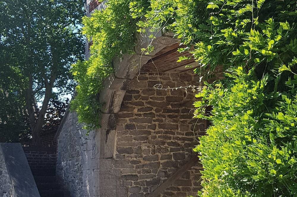 Foto 8 von 13: Erleben Sie eine Tour .....