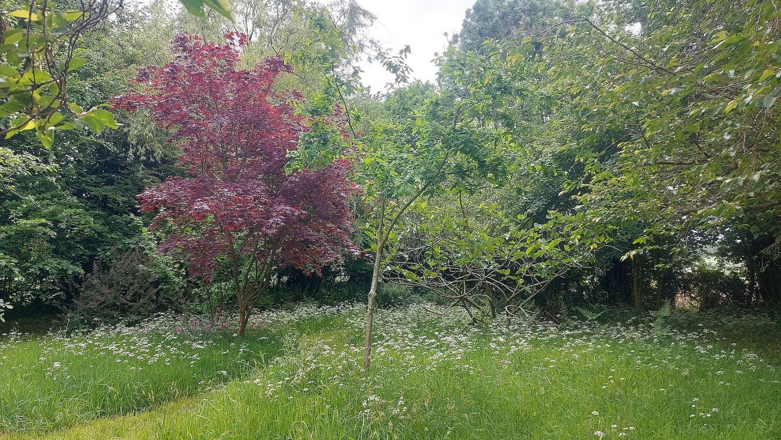 Foto 10 von 25: Chalet „Mitten in der Natur“ mit privater Terrasse, ruhiger Lage, Gemeinschaftsgarten & WLAN