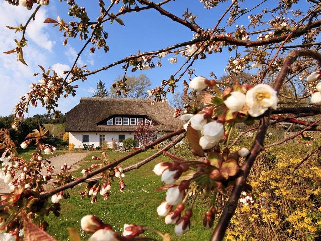 Foto 6 von 19: Kiekenbusch Oben Mitte