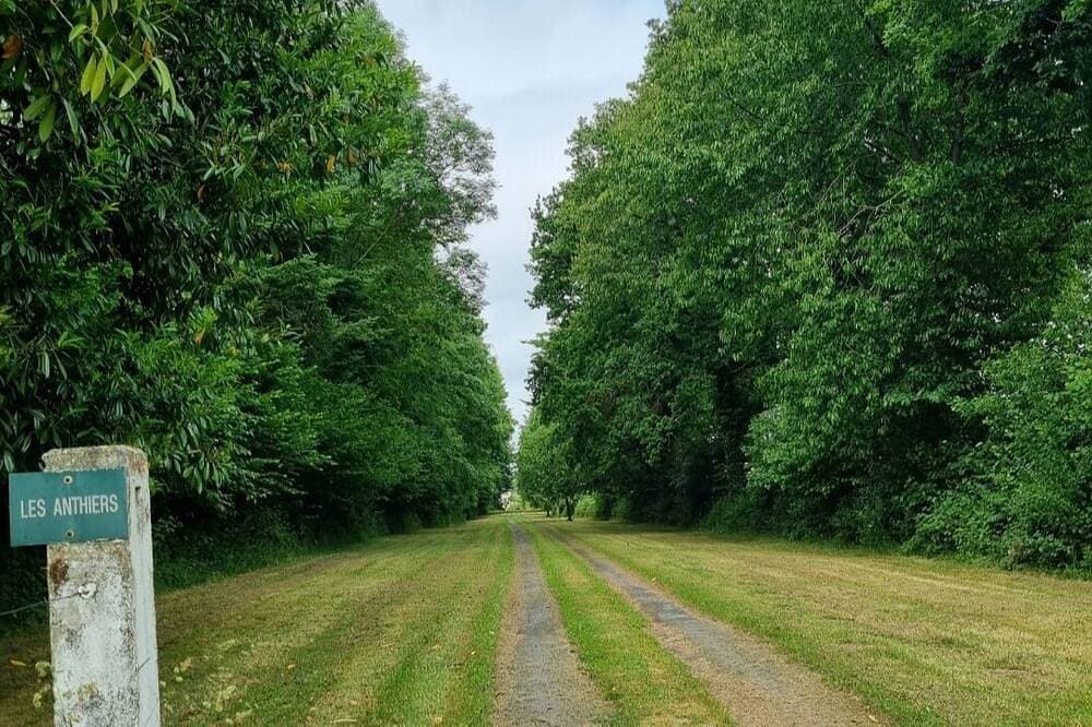 Foto 12 von 13: In the country