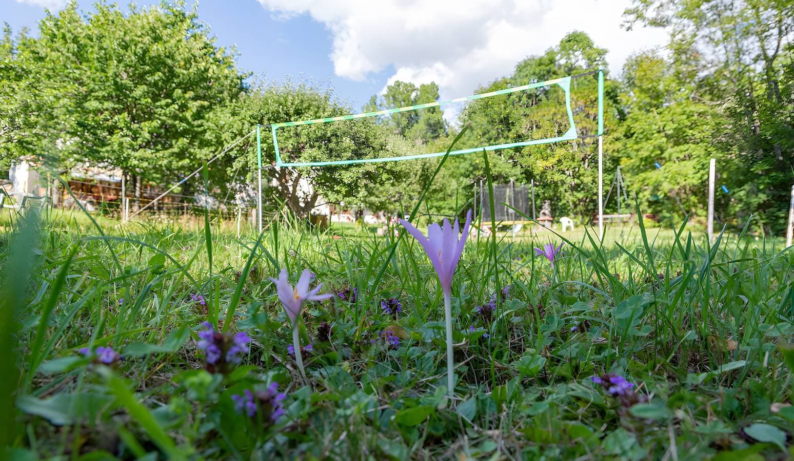 Foto 7 von 13: Gîte La Petite Cascade - Haut Verdon Val d'Allos