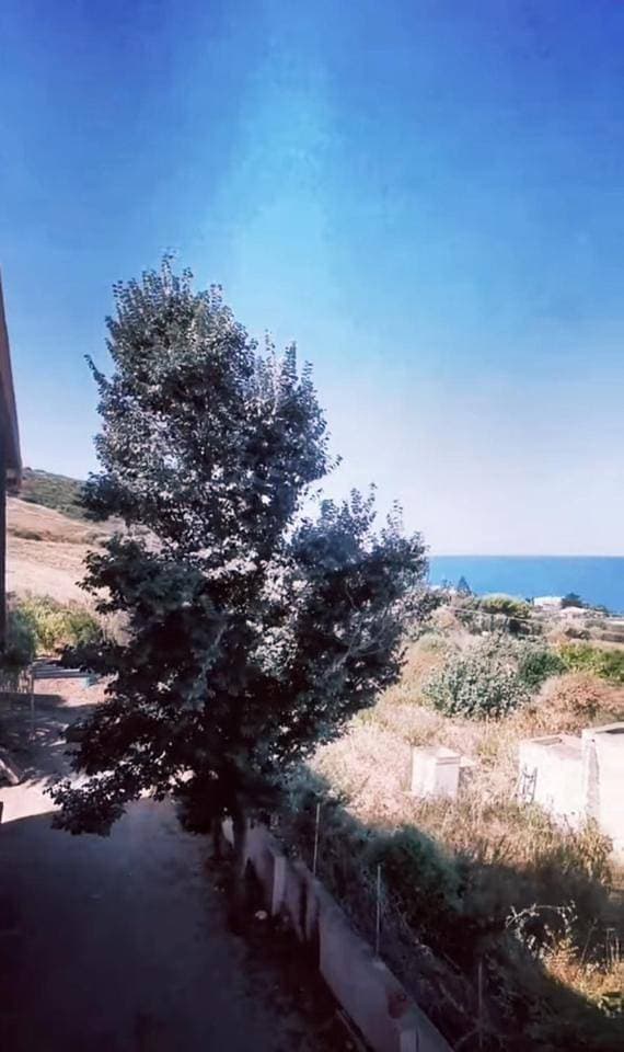 Foto 11 von 19: Villa with Sea View