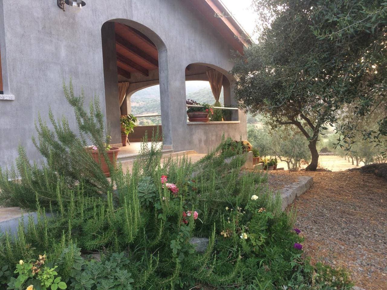 Foto 9 von 35: Holiday Home