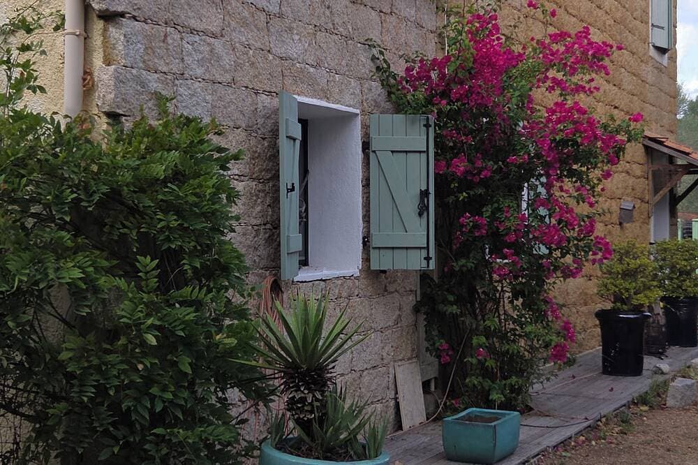 Foto 7 von 10: Garden level for rent in typical Corsican house.