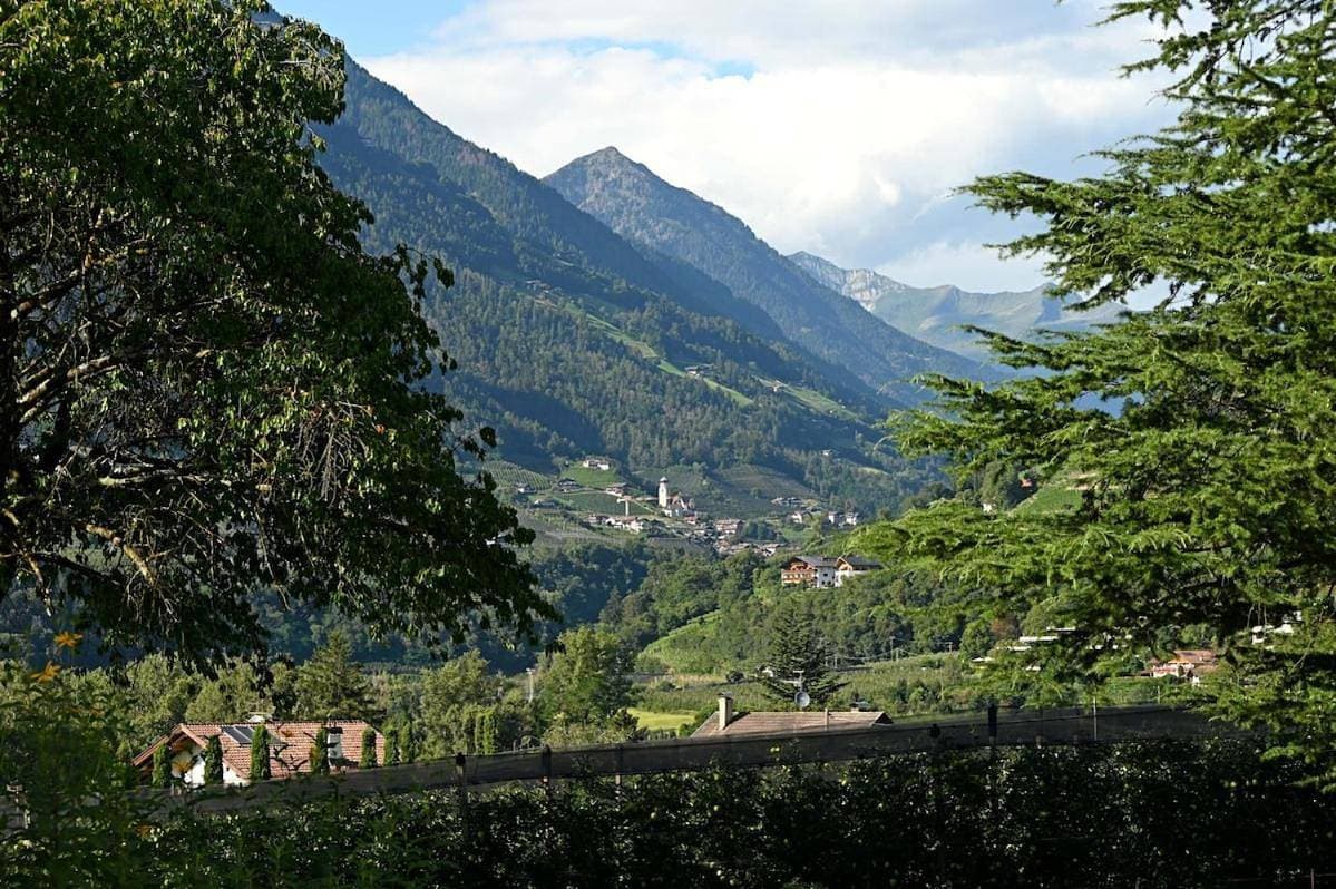 Foto 13 von 29: Two-Bedroom Apartment with Mountain View
