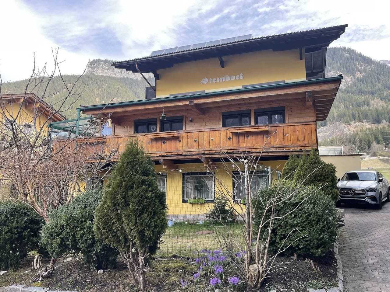Haus Steinbock 1