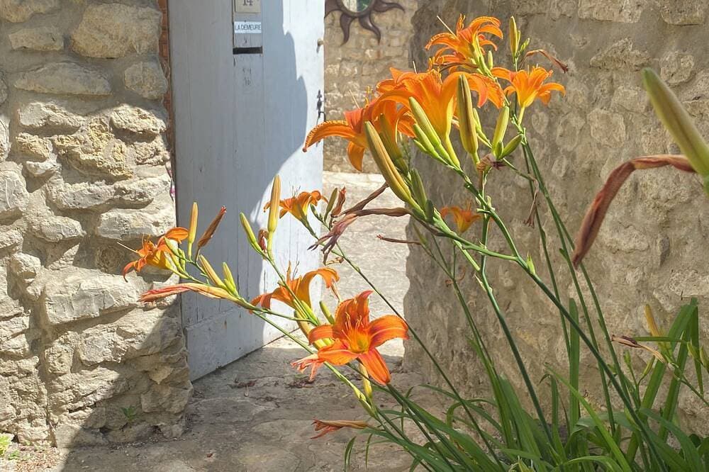 Foto 9 von 27: \"La Demeure\" Mas im Herzen des Dorfes Crestet mit privatem Pool