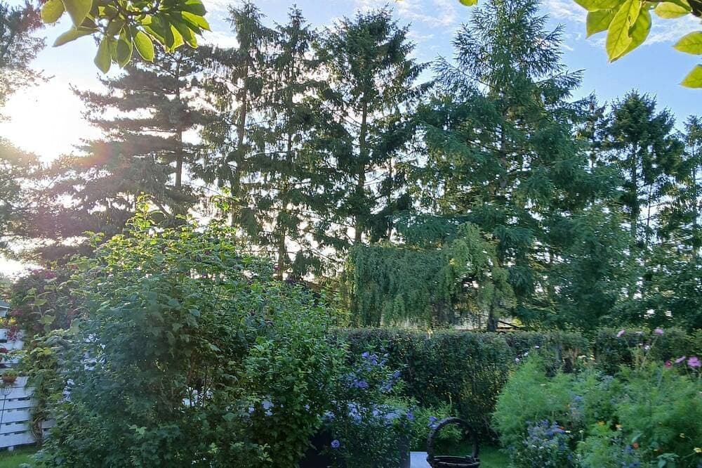 Foto 8 von 12: Bungalow für 2 Gäste mit 28m² in Zirkow