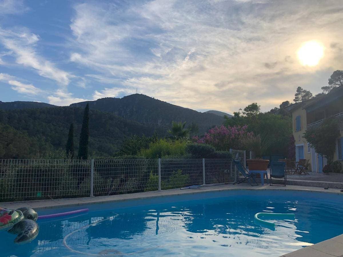 Villa avec piscine dans les oliviers 1