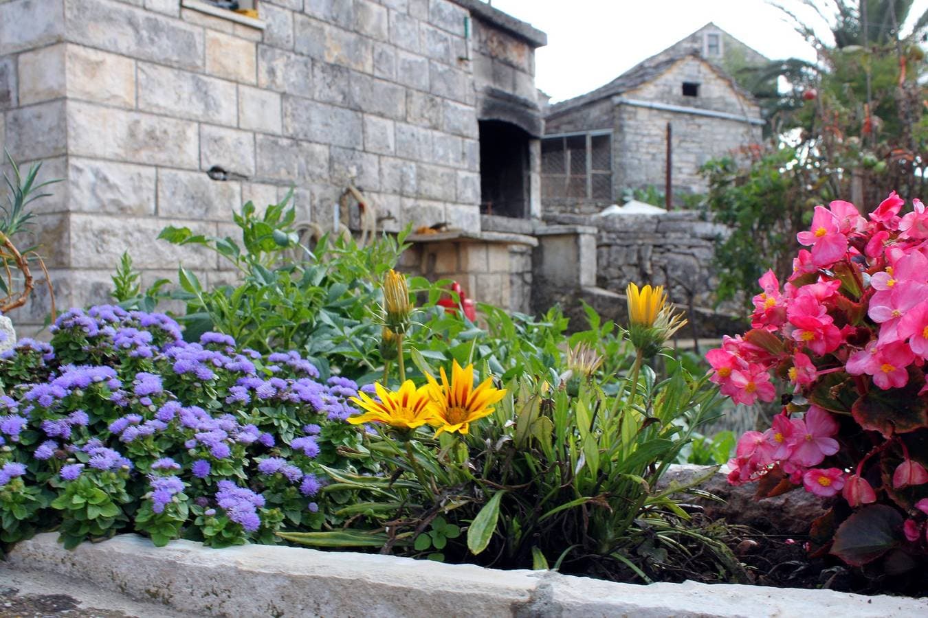Foto 6 von 24: 1-Zimmer-Haus mit Terrasse Zrnovo, Korcula K-4876